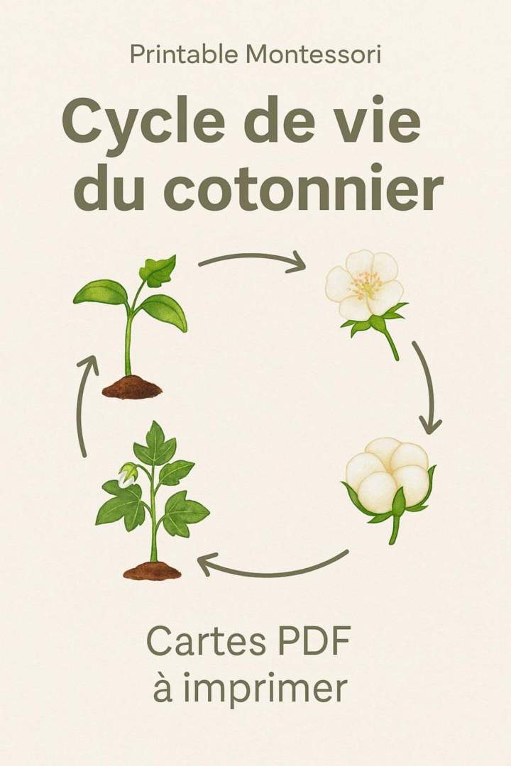 il 1588xN.7469556666 ekqi