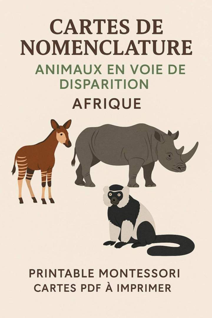 il 1588xN.7517625195 b2j5